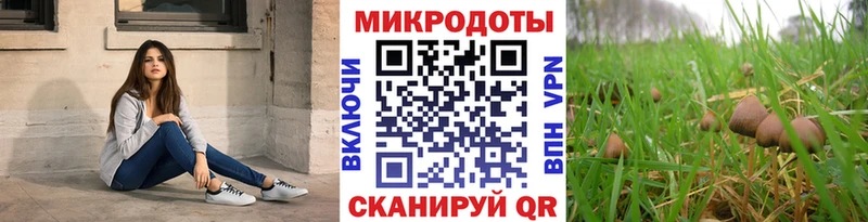Псилоцибиновые грибы Psilocybine cubensis  кракен как зайти  Павловск 